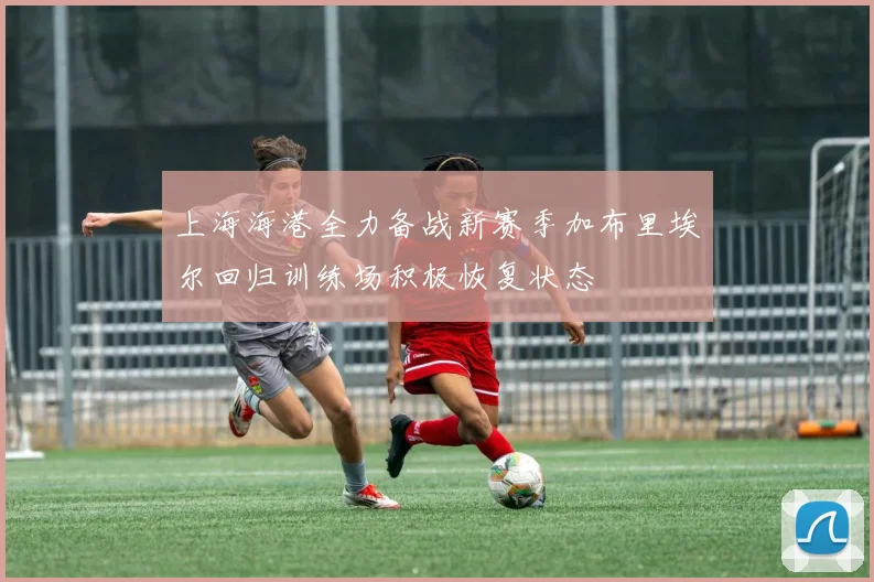 上海海港全力备战新赛季加布里埃尔回归训练场积极恢复状态